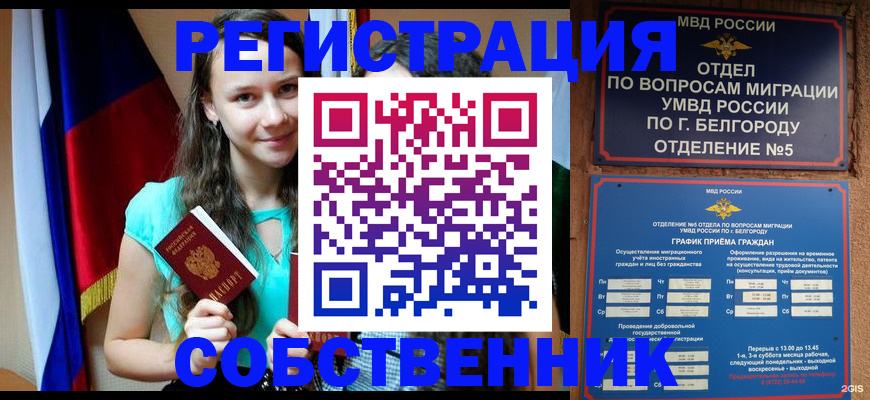 прописка 2025 в Губкинском